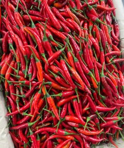 FRESH CHILLI